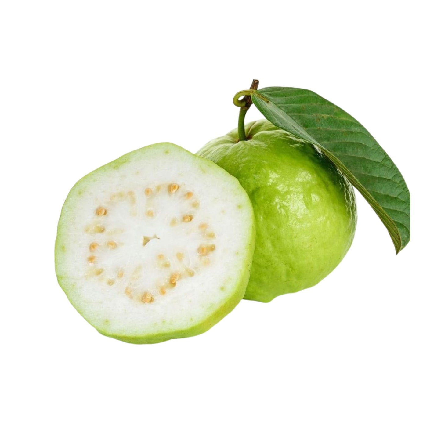 Lakpura Kilo Guava Layered Plant