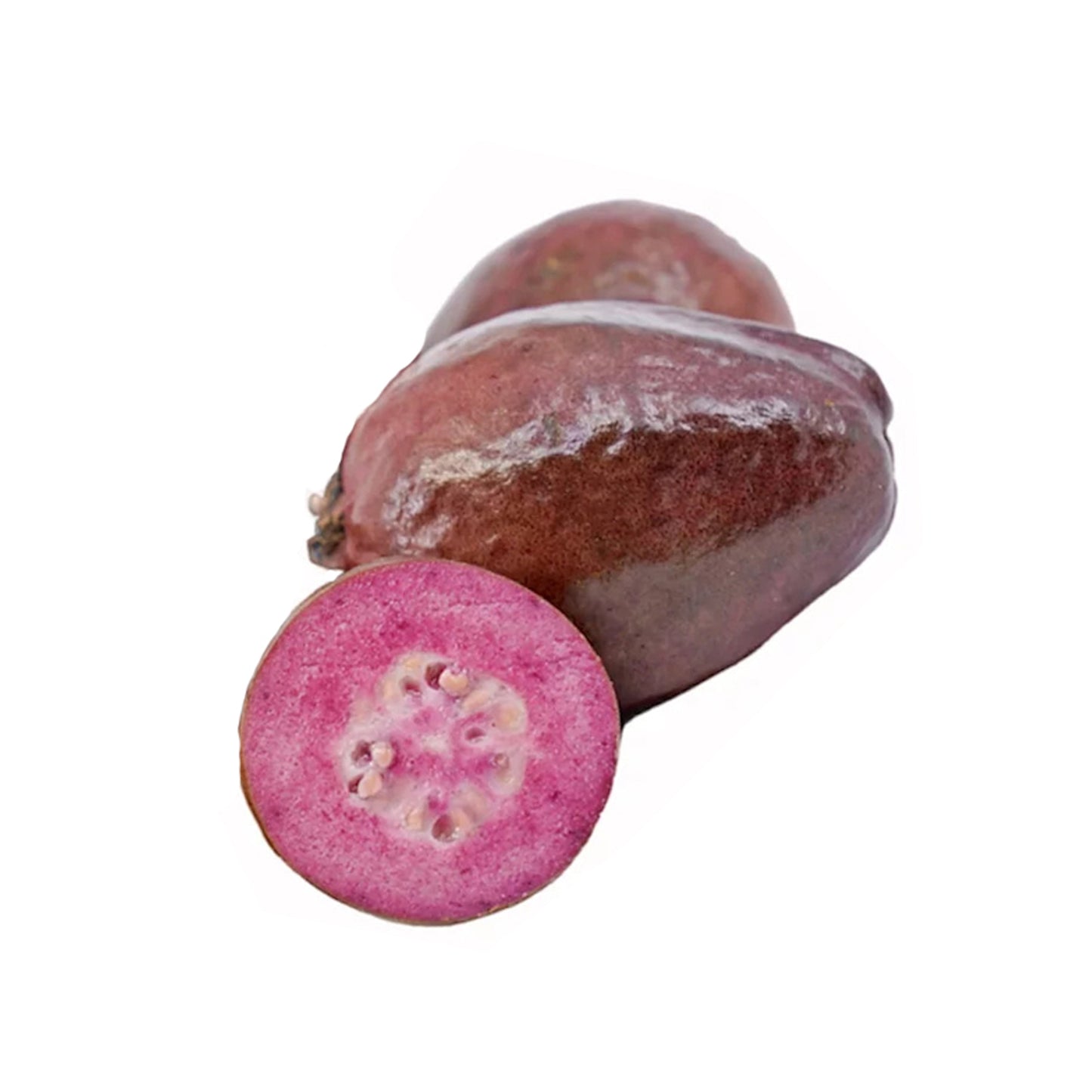 Lakpura Purple Guava Layered Plant