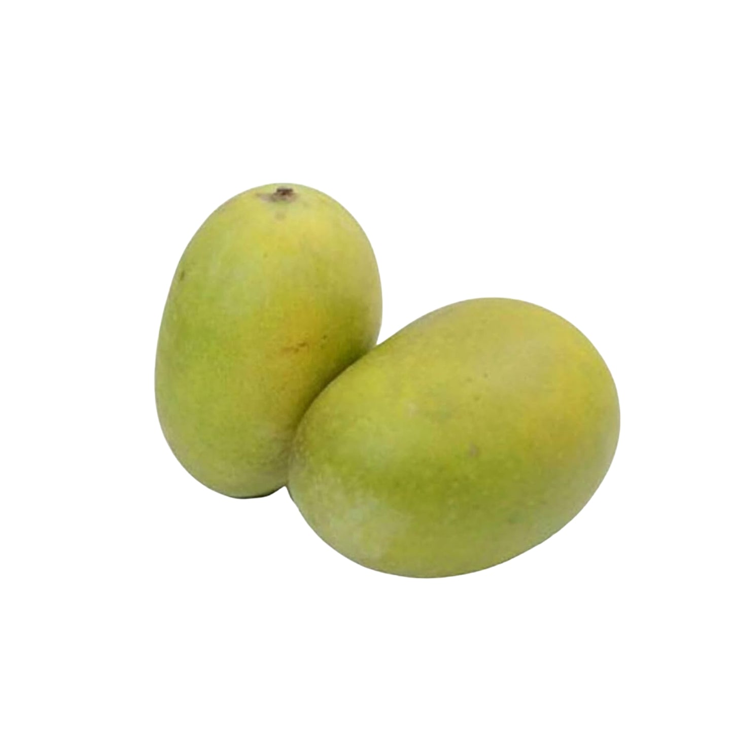 Lakpura® Dampara Mango Grafted Plant