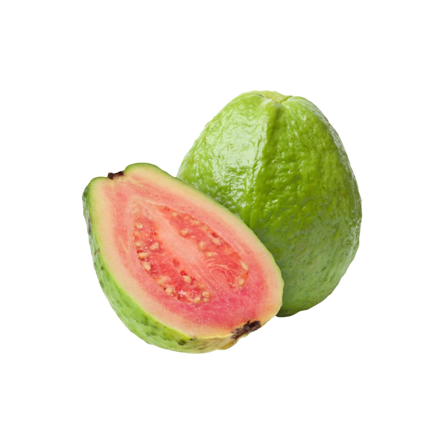 Lakpura Ceylon Red Guava Plant