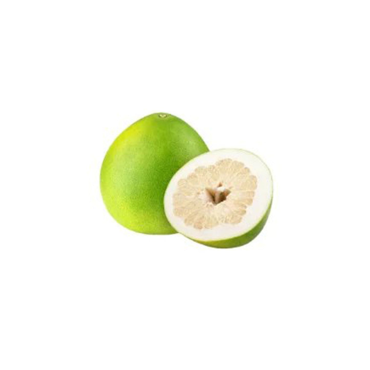 लकपुरा® थाई व्हाइट पोमेलो ग्राफ्टेड प्लांट
