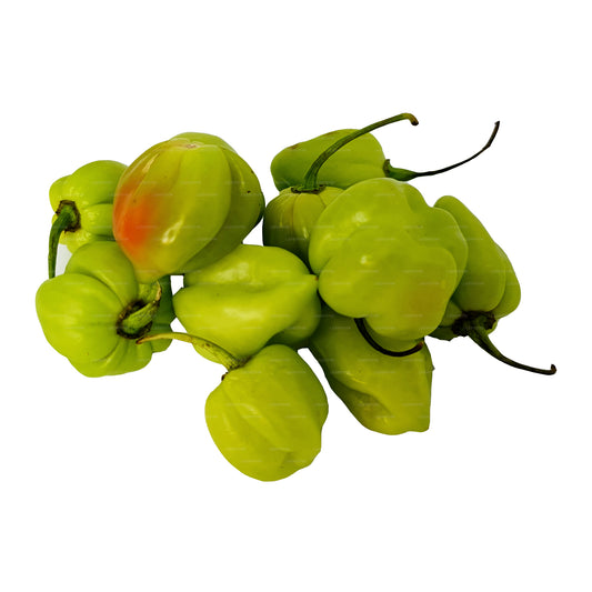 Lakpura® Scotch Bonnet (Nai Miris)