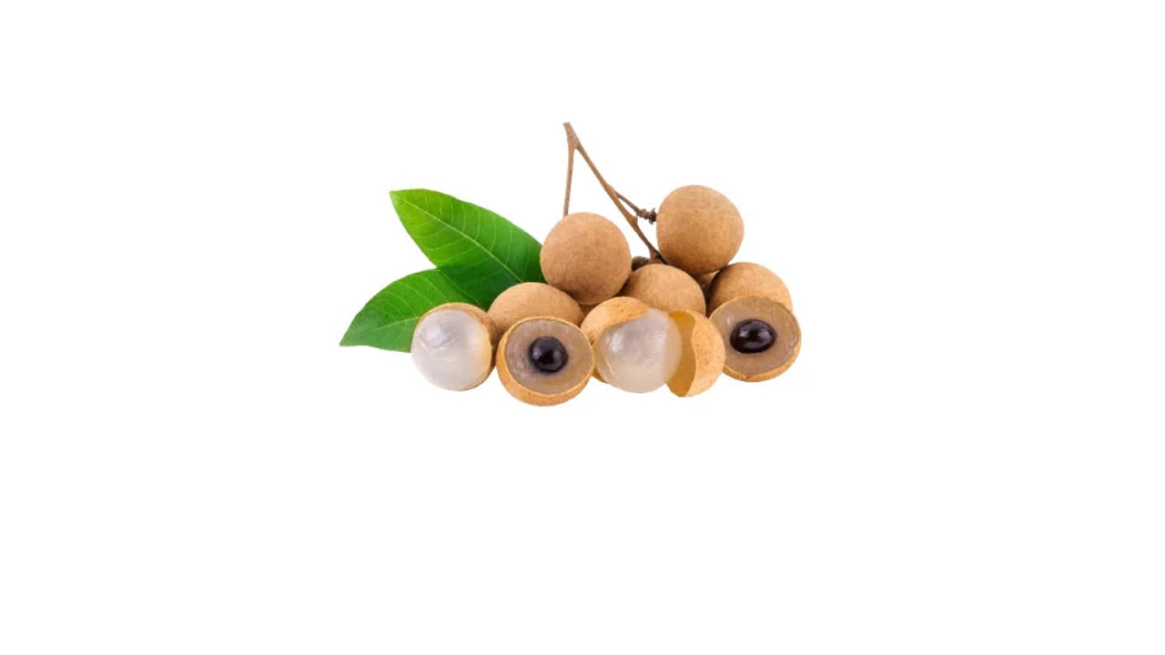 Lakpura Sweet longan (Pani Mora) Plant
