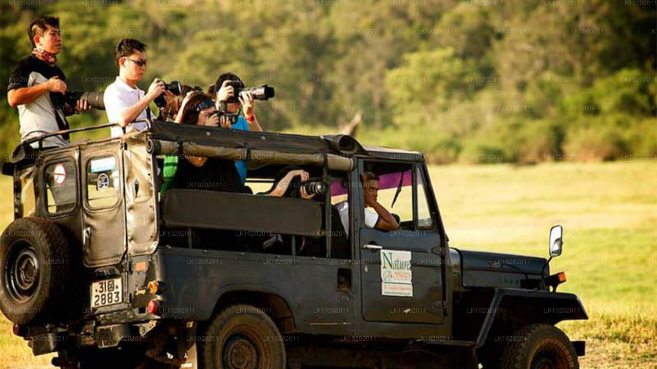 कोलंबो से सिगिरिया और मिनेरिया (2 दिन)