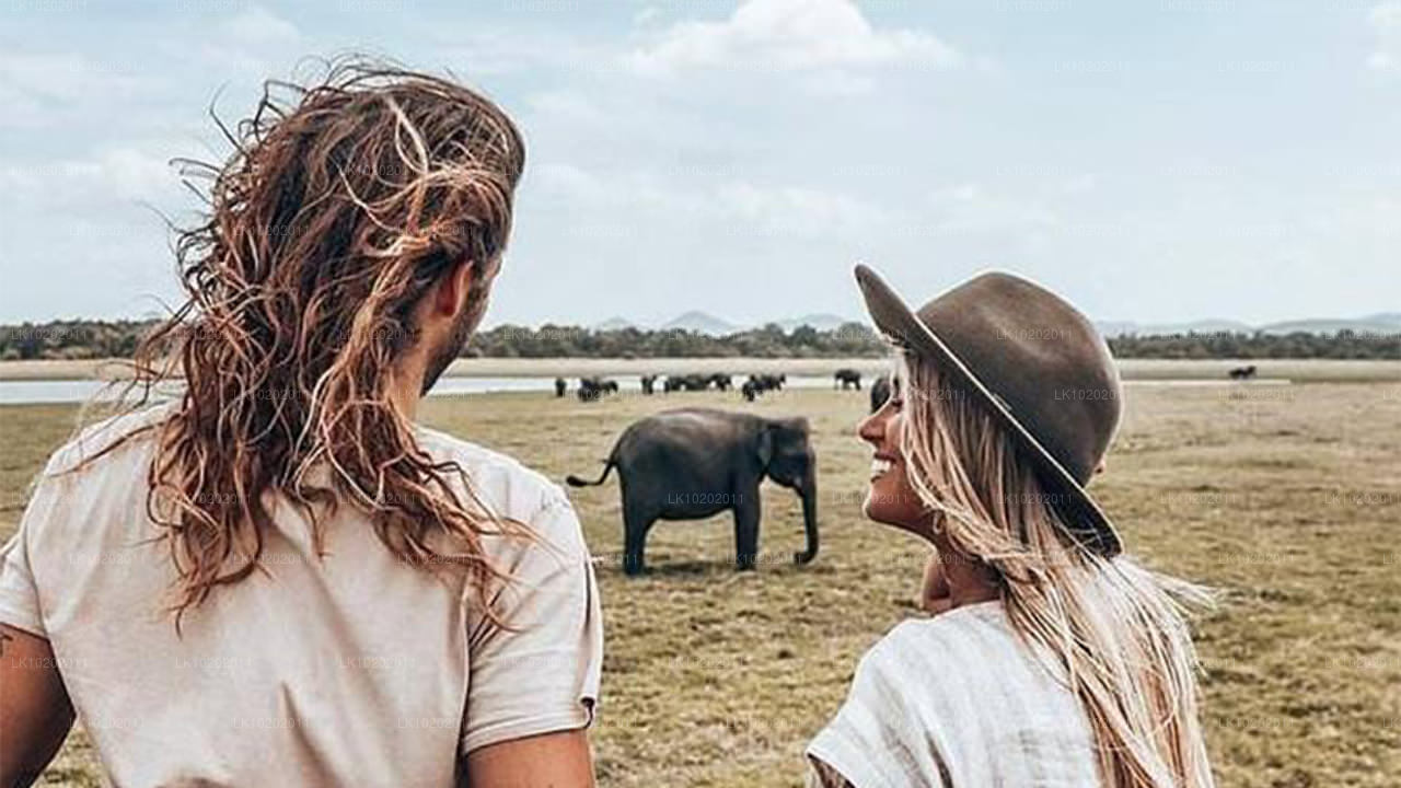 कोलंबो से सिगिरिया और मिनेरिया (2 दिन)