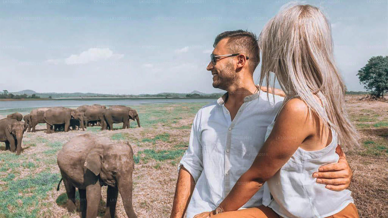 कोलंबो से सिगिरिया और मिनेरिया (2 दिन)