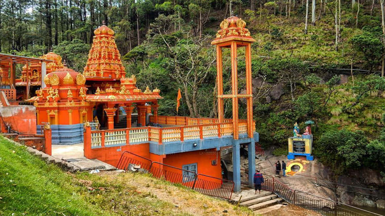 कोलंबो से नुवारा एलिया (2 दिन)