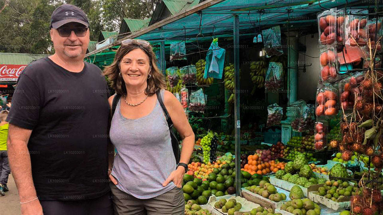 कोलंबो से नुवारा एलिया (2 दिन)