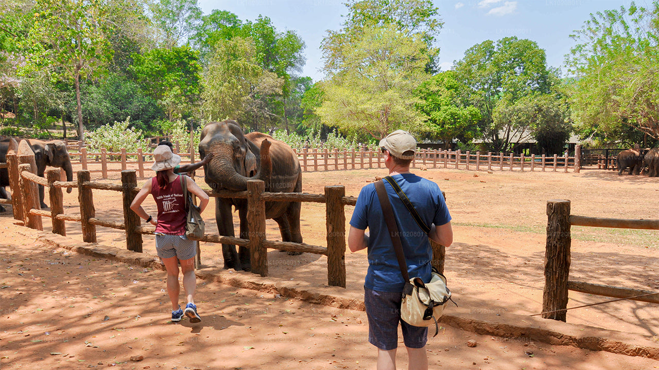 कोलंबो से पहाड़ियों की संस्कृति (2 दिन)