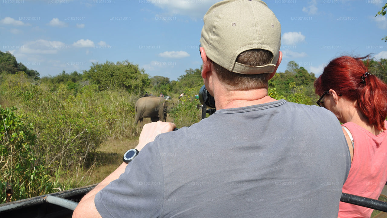 गैले से वन्यजीव और विश्व धरोहर यात्रा (2 दिन)