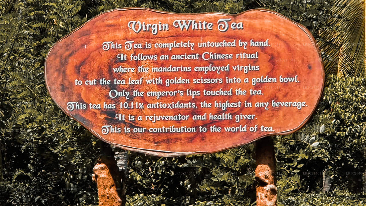 बेंटोटा से अहंगामा और मिरिसा (2 दिन)