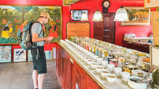 बेंटोटा से अहंगामा और मिरिसा (2 दिन)