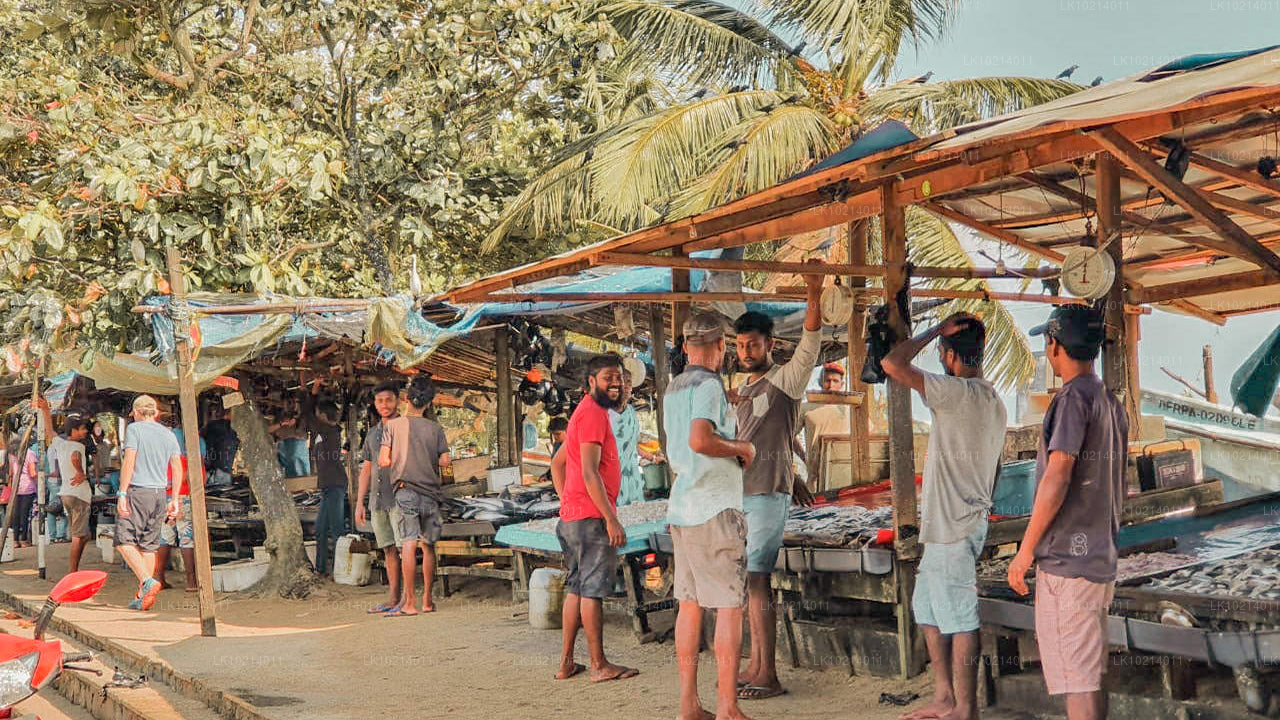 बेंटोटा से अहंगामा और मिरिसा (2 दिन)