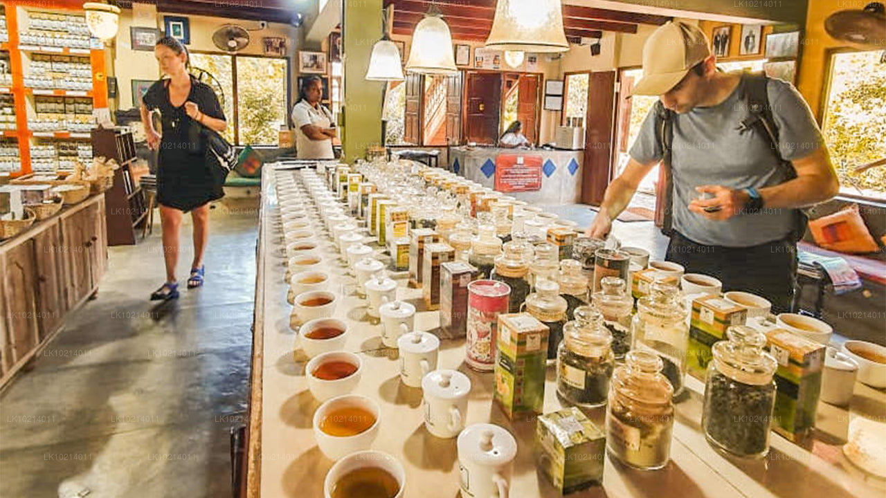 बेंटोटा से अहंगामा और मिरिसा (2 दिन)