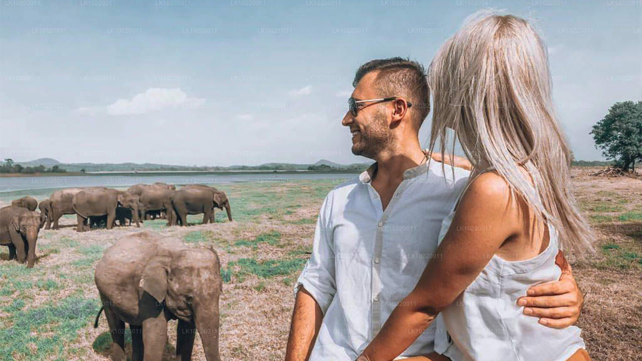 कैंडी से सीलोन का लोकाचार (2 दिन)