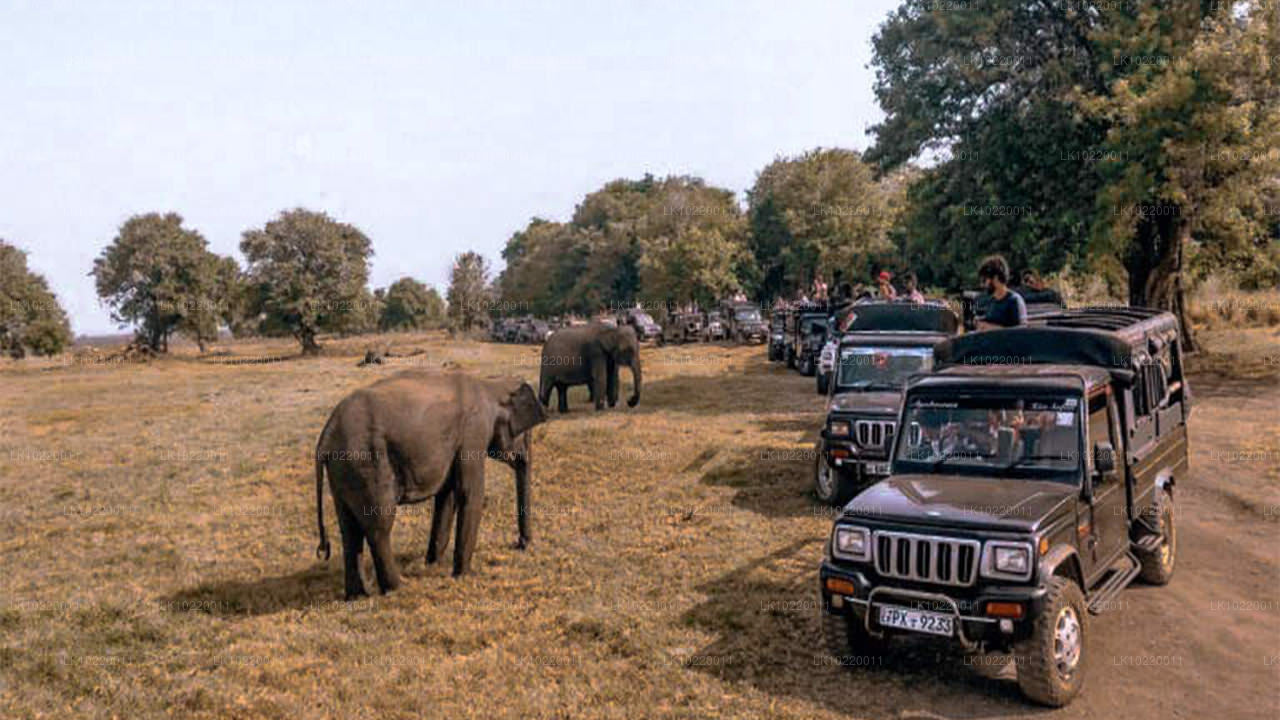 कैंडी से सीलोन का लोकाचार (2 दिन)