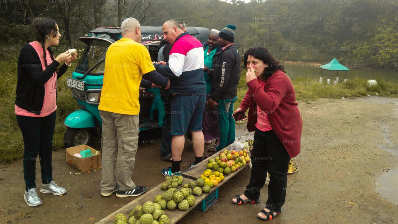 कैंडी से हाईलैंड ग्लोरी (2 दिन)