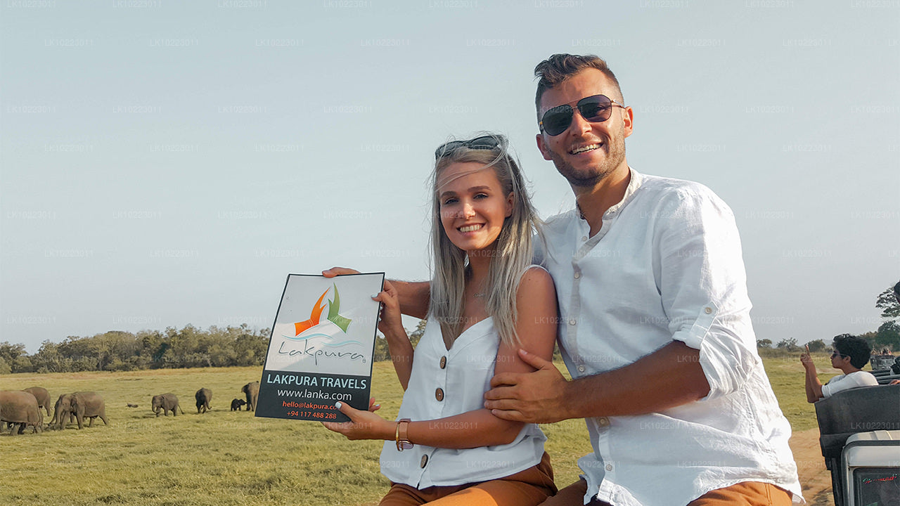 नेगोंबो से सिगिरिया और मिनेरिया (2 दिन)