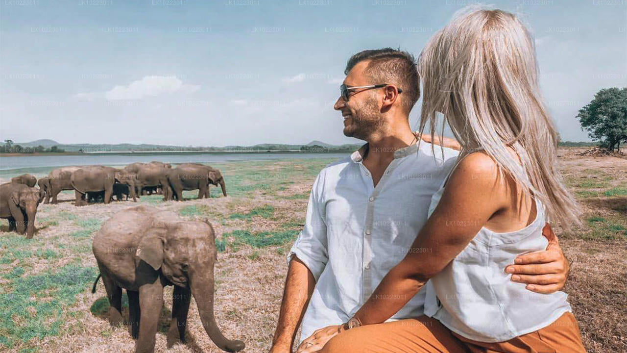 नेगोंबो से सिगिरिया और मिनेरिया (2 दिन)