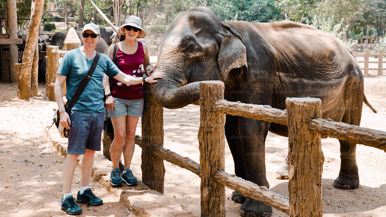 नेगोम्बो से पहाड़ियों की संस्कृति (2 दिन)