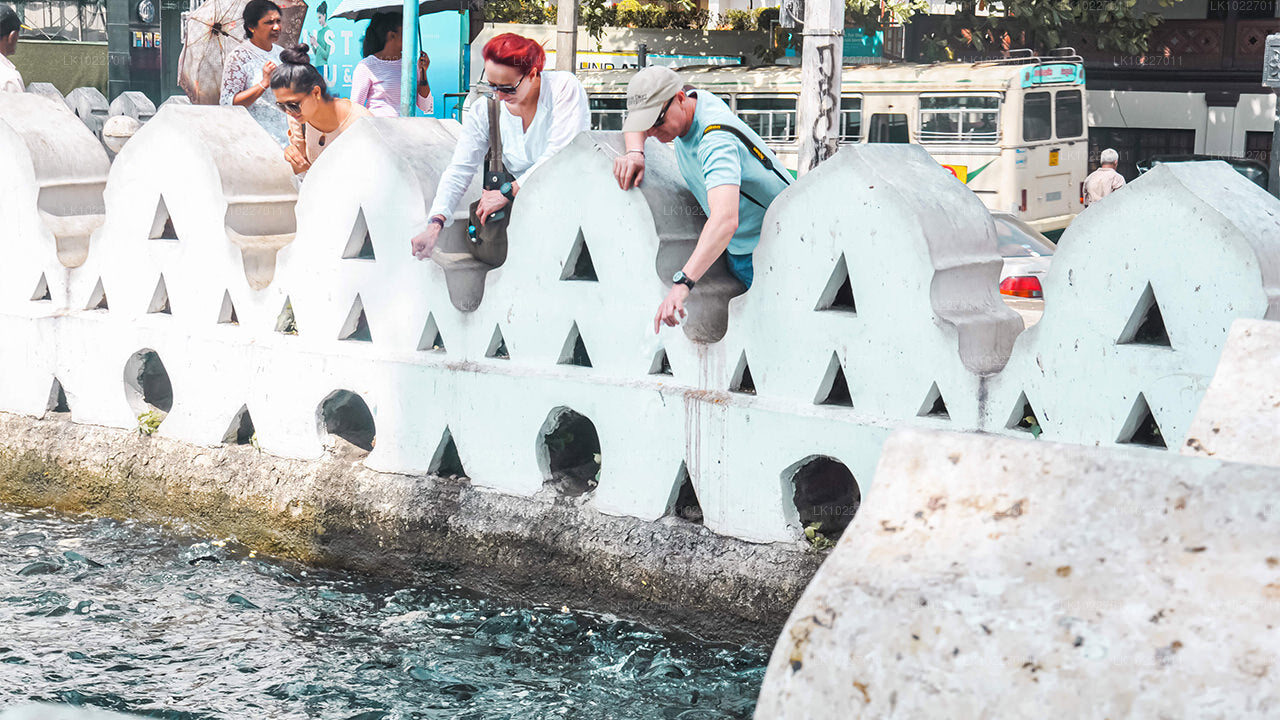 नेगोम्बो से पहाड़ियों की संस्कृति (2 दिन)