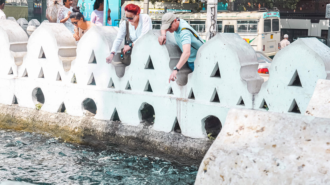 गॉल से पहाड़ियों की संस्कृति का दौरा (2 दिन)