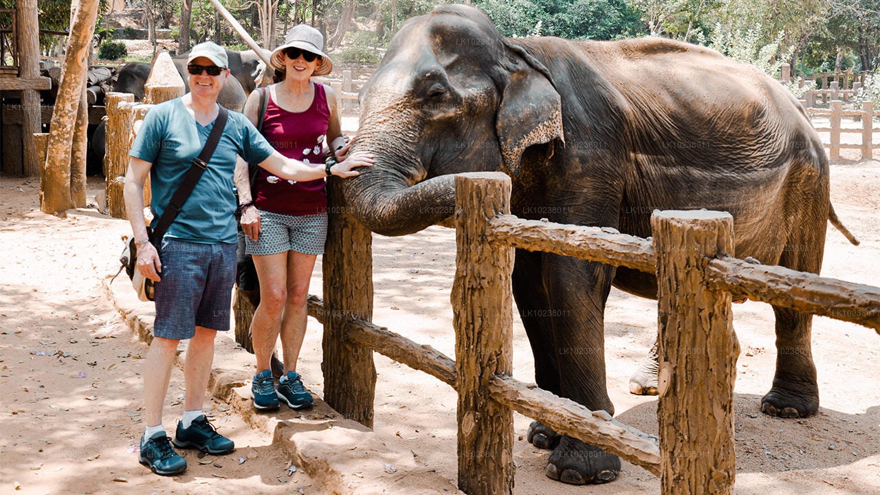 हिक्काडुवा से पहाड़ियों की संस्कृति का दौरा (2 दिन)