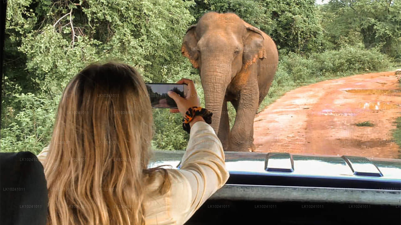 हिक्काडुवा से उदावलावे (2 दिन)