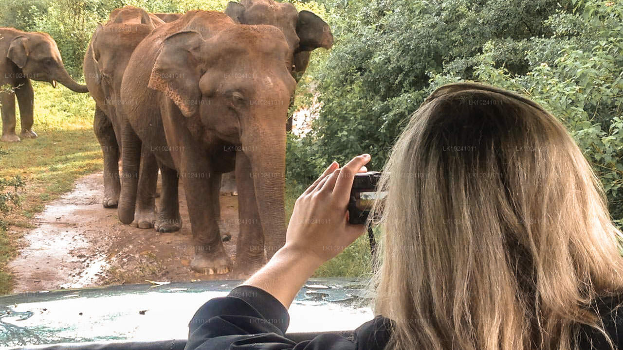 हिक्काडुवा से उदावलावे (2 दिन)