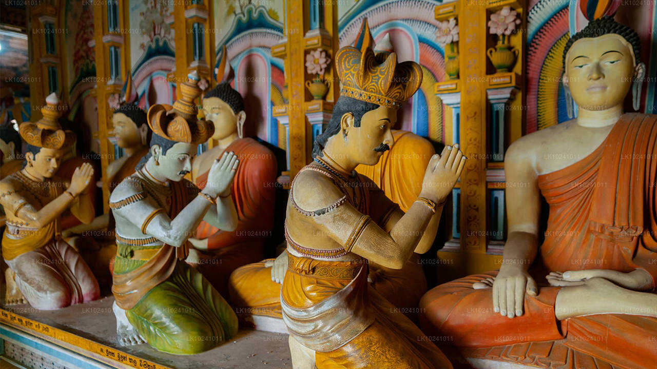 हिक्काडुवा से उदावलावे (2 दिन)