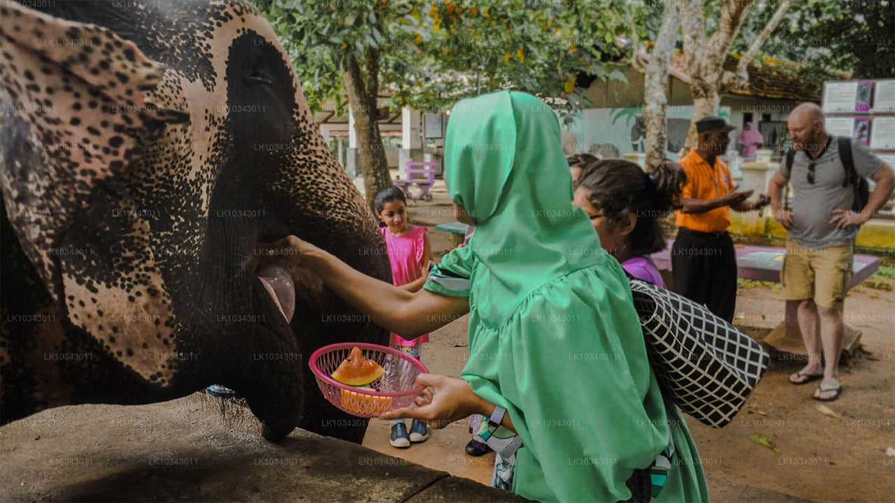 वंडर आइलैंड (3 दिन)