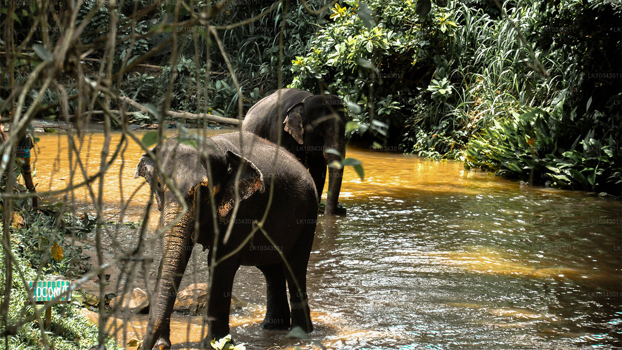 वंडर आइलैंड (3 दिन)