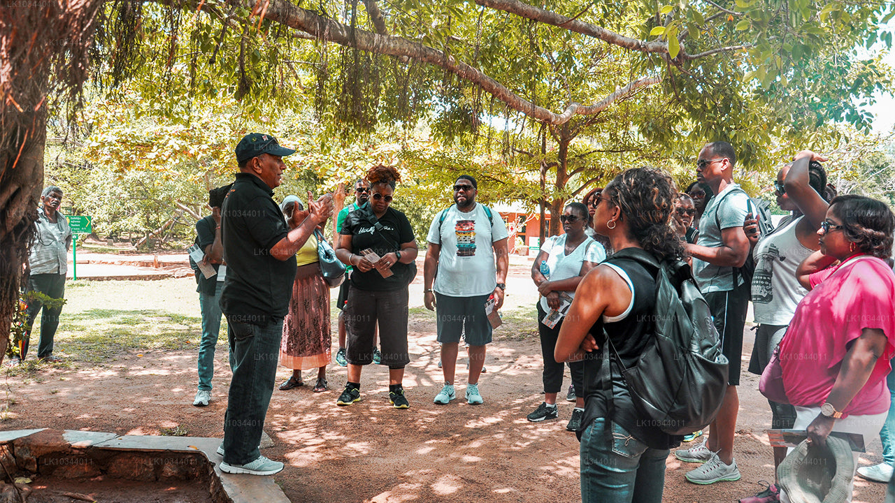 पैराडाइज़ द्वीप (3 दिन)