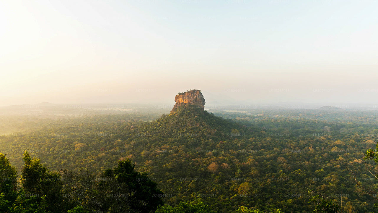 पैराडाइज़ द्वीप (3 दिन)