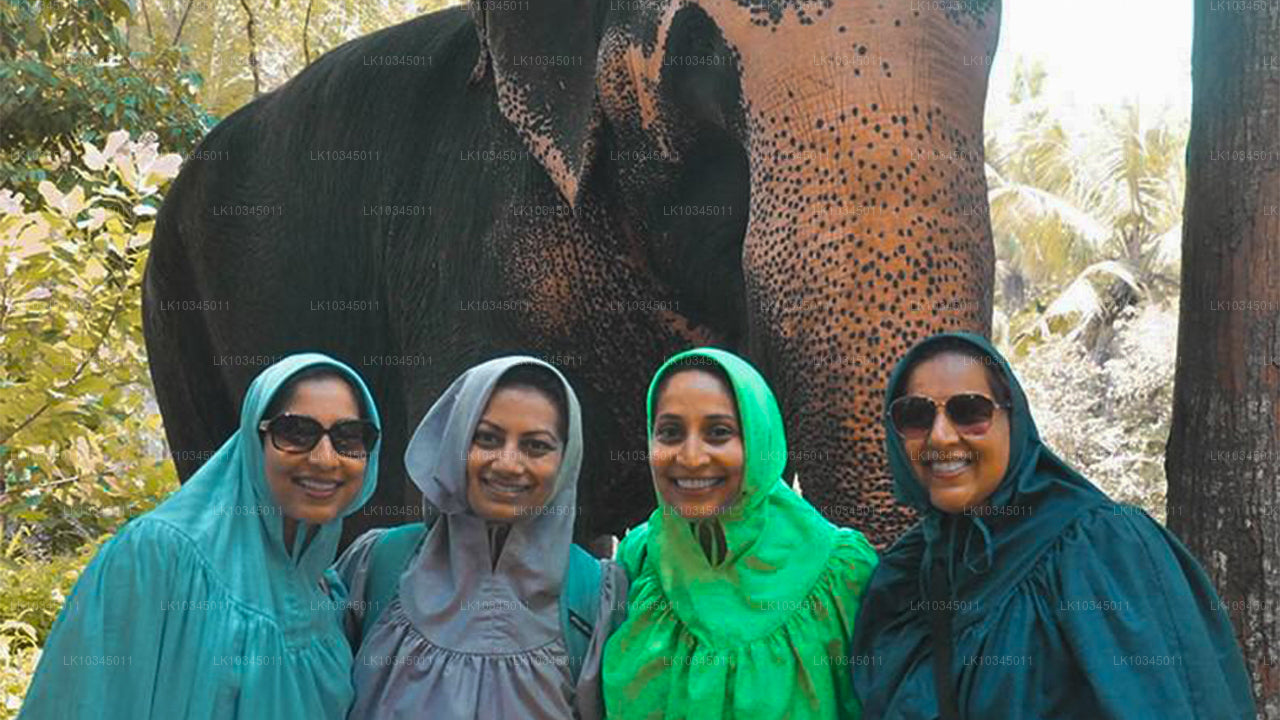 कोलंबो से श्रीलंका का अंतिम साम्राज्य (3 दिन)