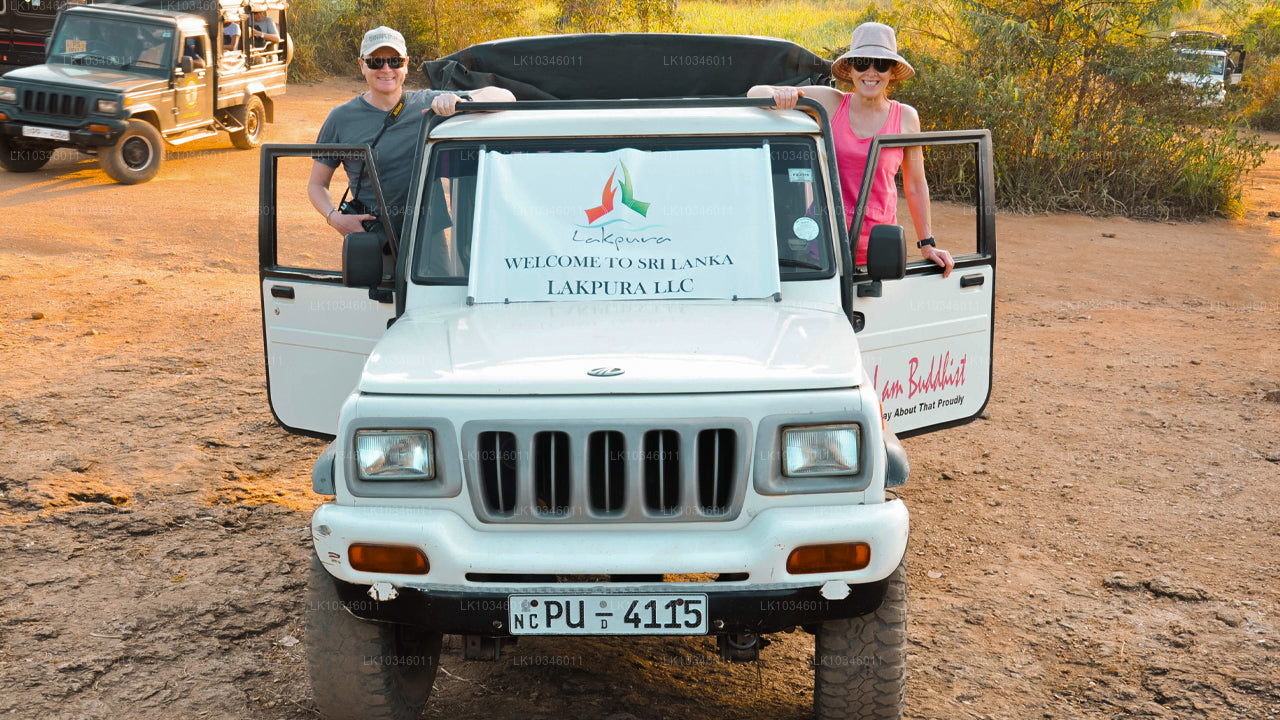 कोलंबो से प्राचीन सीलोन की कहानियाँ (3 दिन)