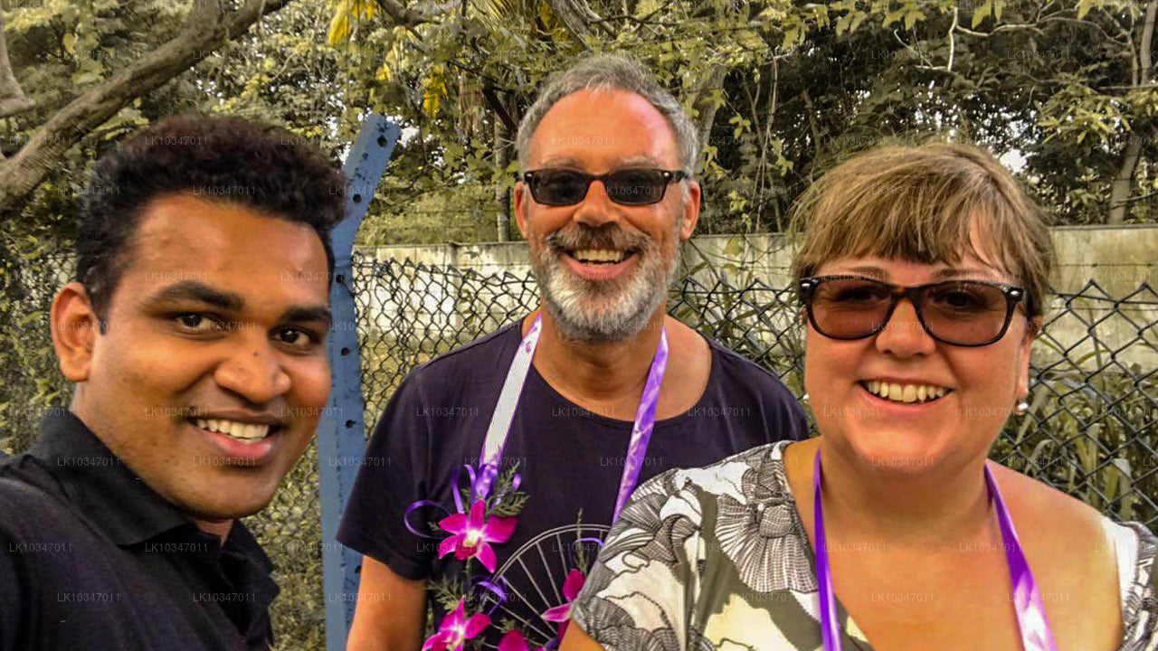 कोलंबो से पवित्र शहर अनुराधापुरा (3 दिन)