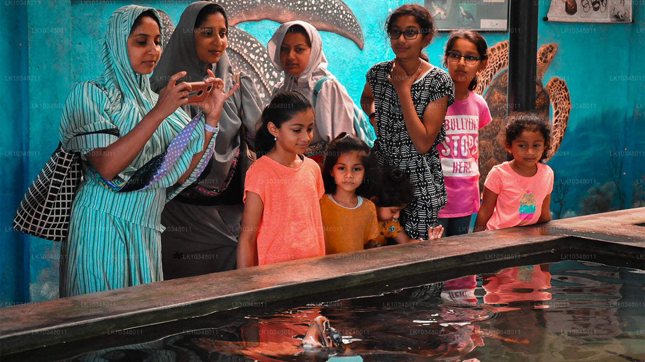 आरामदायक श्रीलंका (3 दिन)