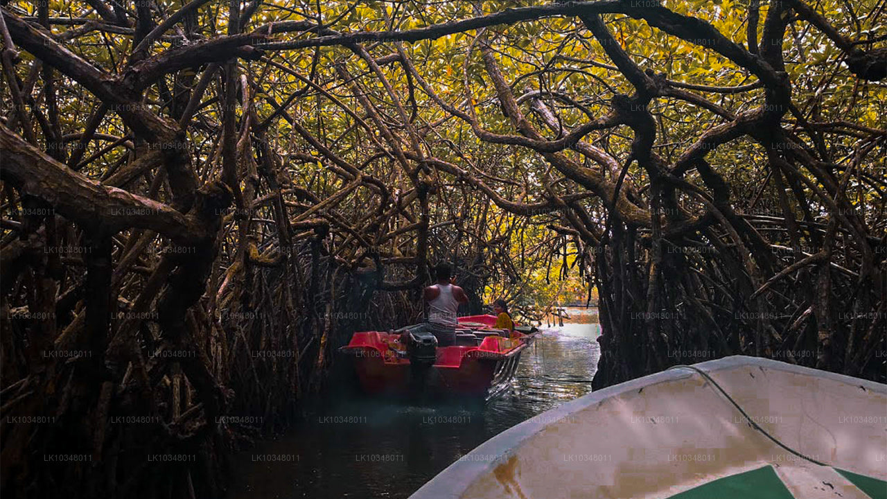 आरामदायक श्रीलंका (3 दिन)
