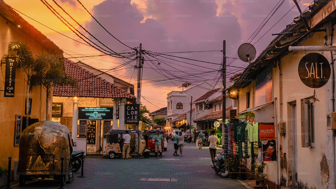 आरामदायक श्रीलंका (3 दिन)