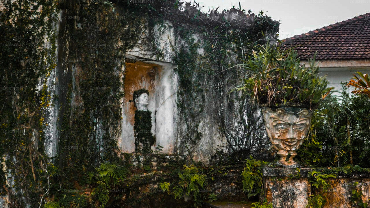 आरामदायक श्रीलंका (3 दिन)