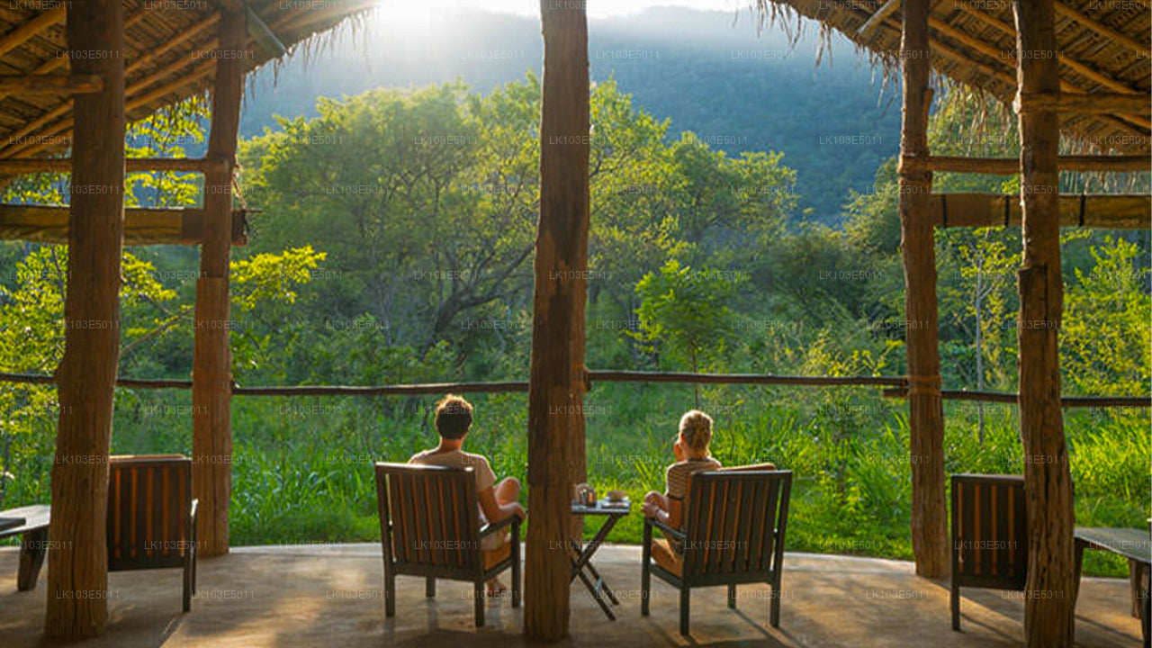 श्रीलंका की इको टूर्स (3 दिन)