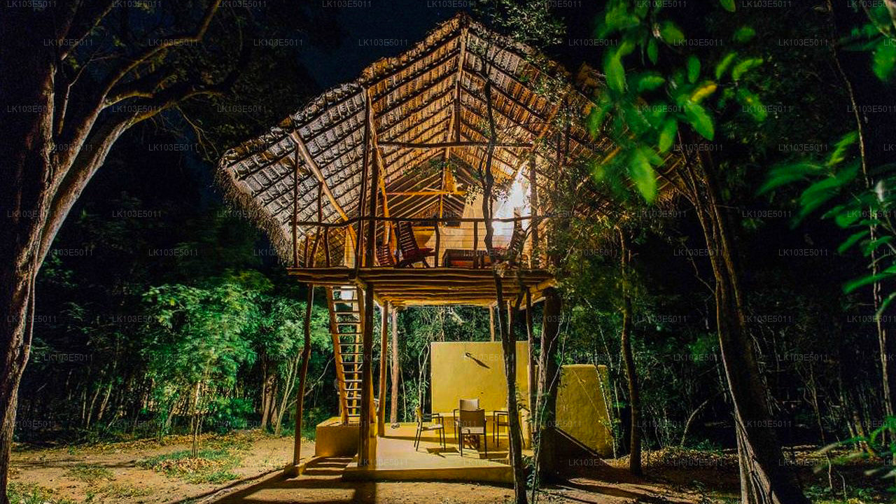 श्रीलंका की इको टूर्स (3 दिन)