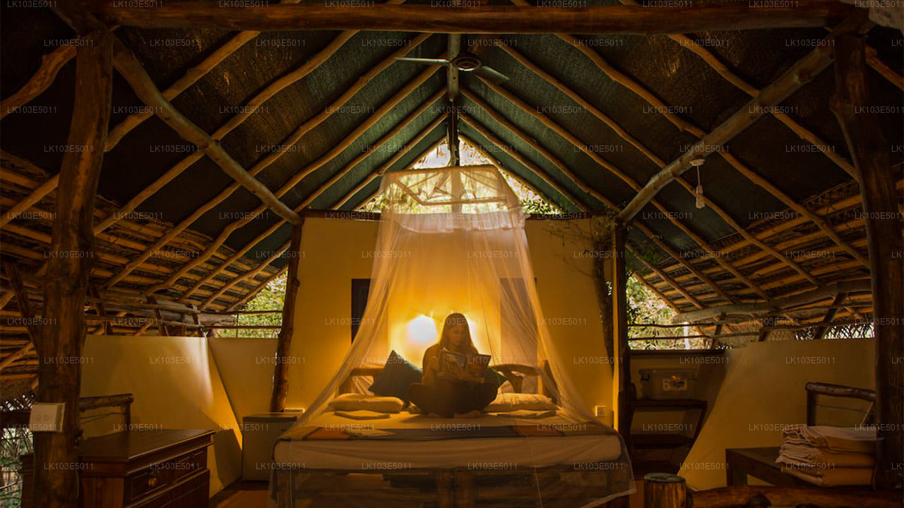 श्रीलंका की इको टूर्स (3 दिन)