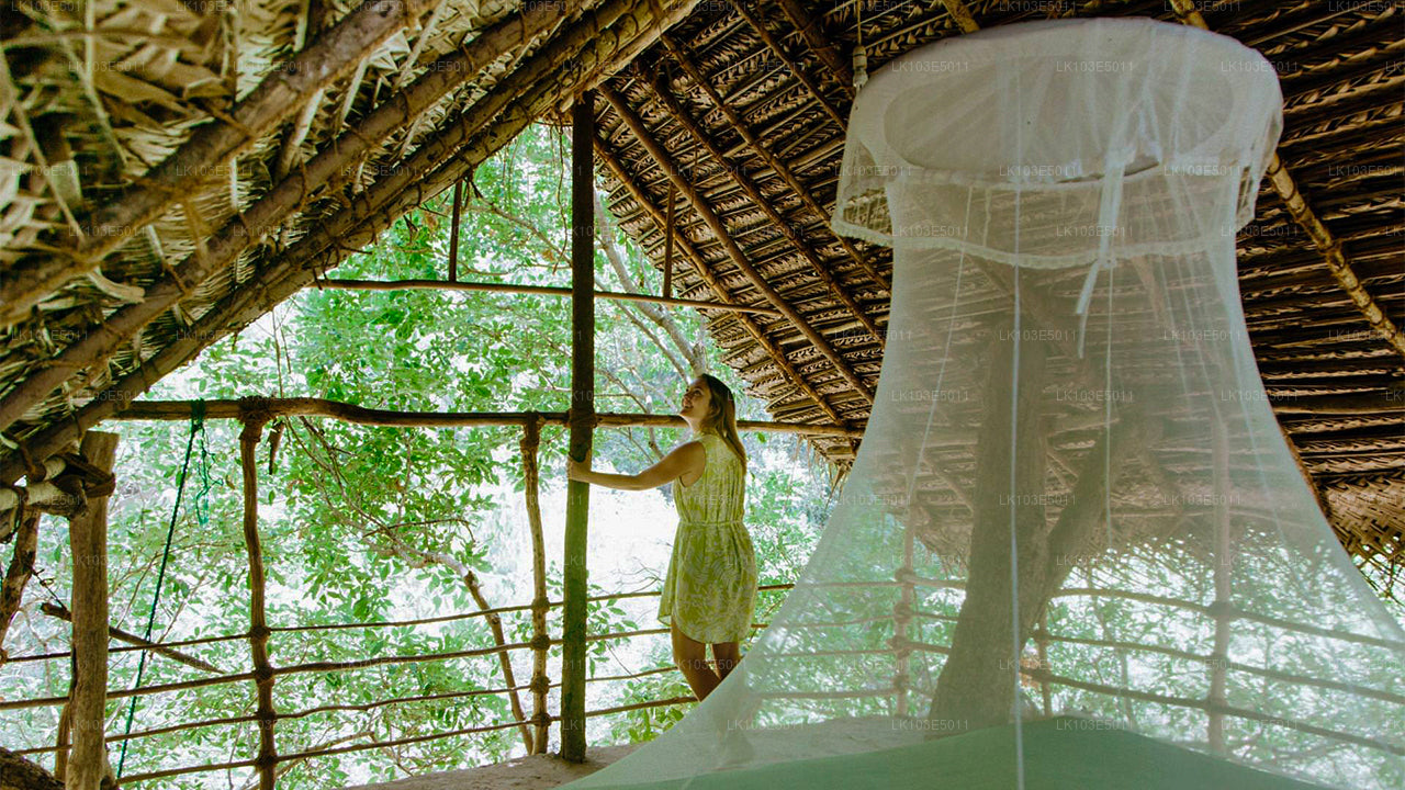 श्रीलंका की इको टूर्स (3 दिन)