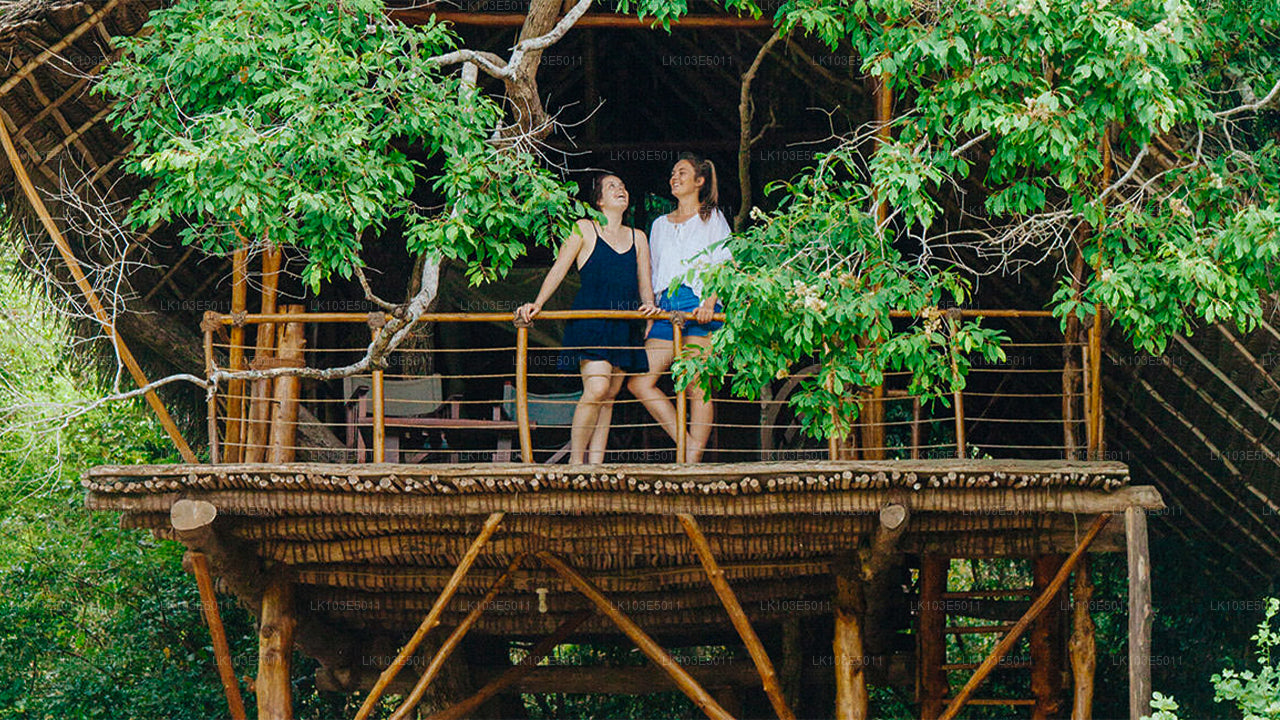 श्रीलंका की इको टूर्स (3 दिन)