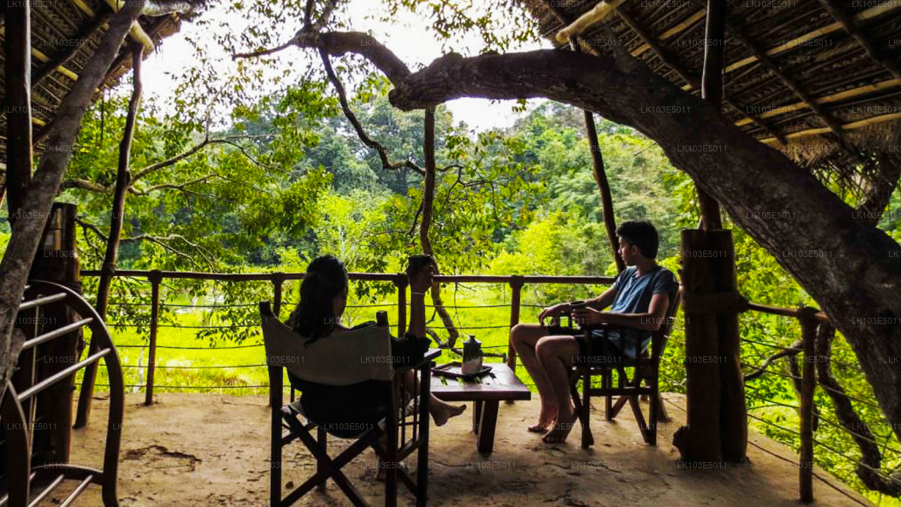 श्रीलंका की इको टूर्स (3 दिन)