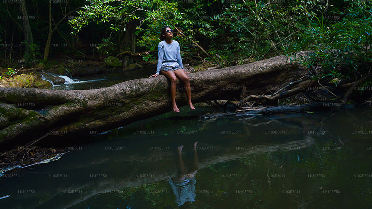 श्रीलंका की इको टूर्स (3 दिन)