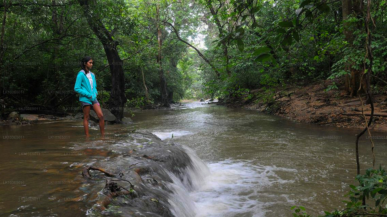 श्रीलंका की इको टूर्स (3 दिन)