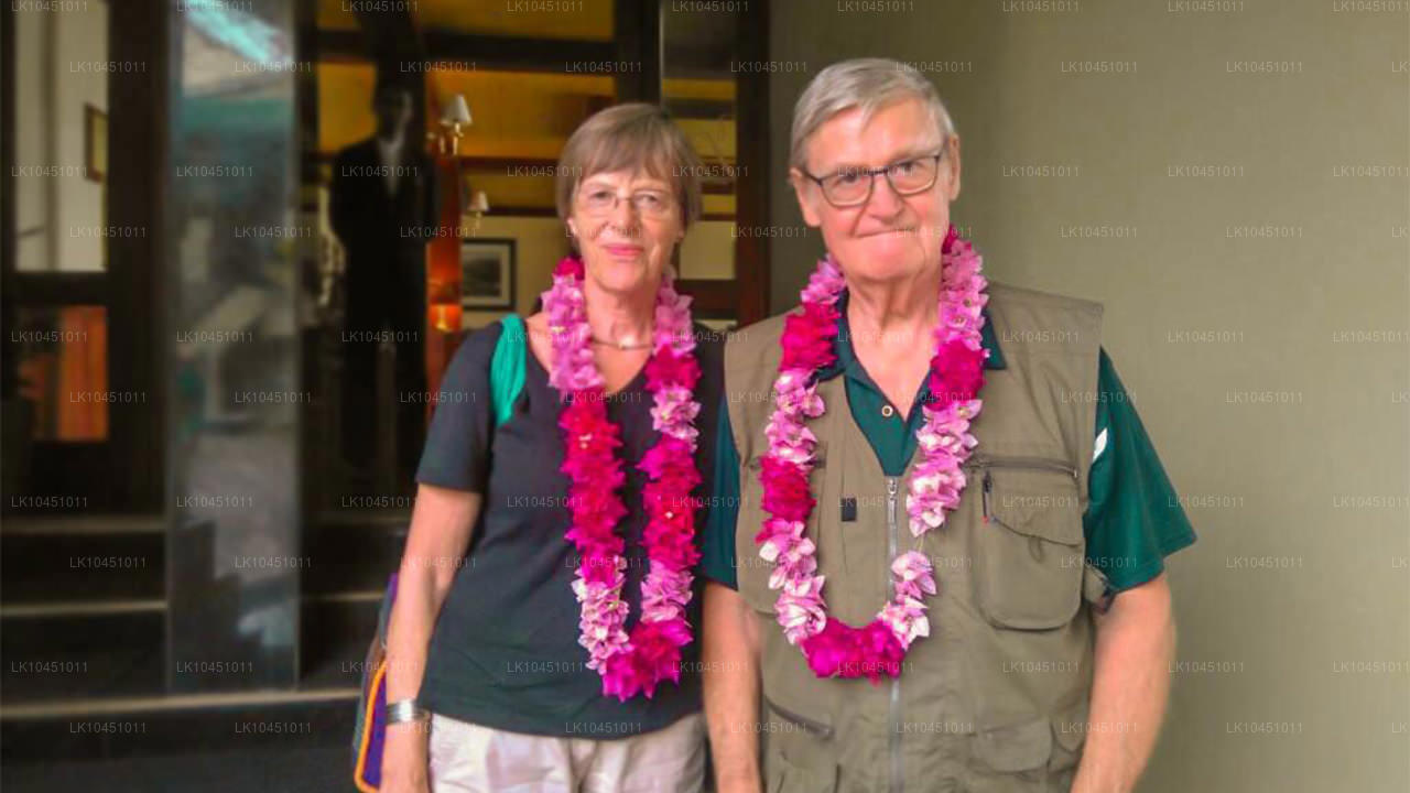 कोलंबो से लंका के चारों ओर (4 दिन)